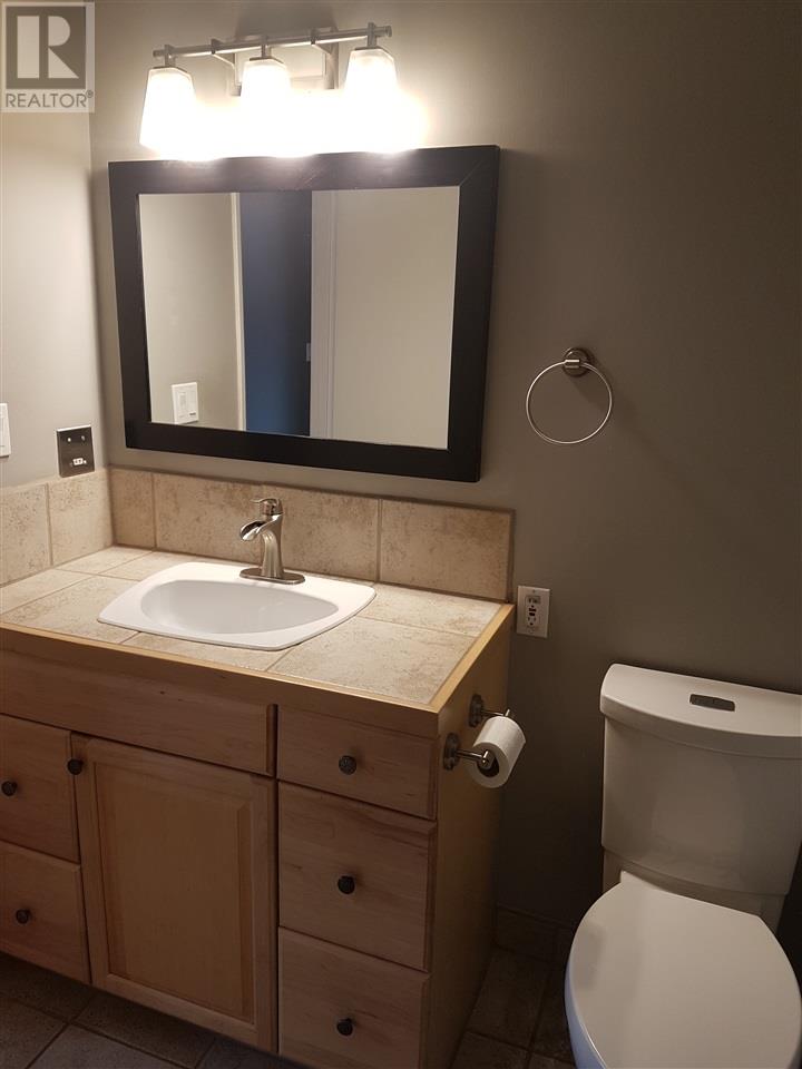 Prince George Foothills — basement bathroom vanity